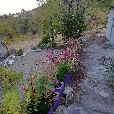 Myrovolos Villa Armenistis  Bagian luar foto
