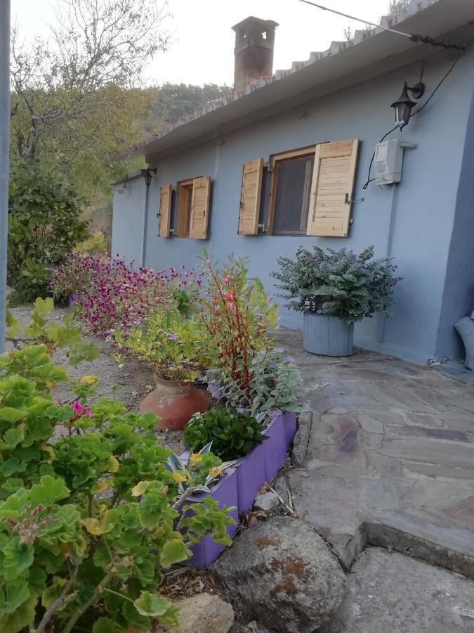 Myrovolos Villa Armenistis  Bagian luar foto