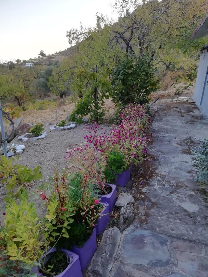 Myrovolos Villa Armenistis  Bagian luar foto